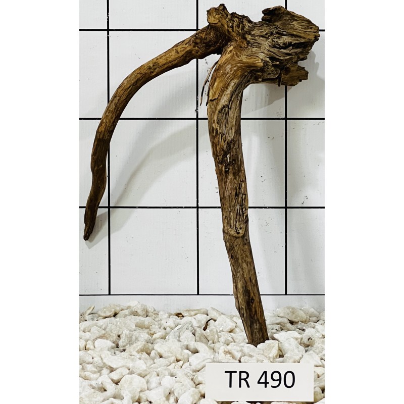 Spiderwood 490