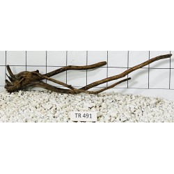 Spiderwood 491