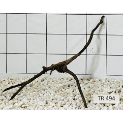 Spiderwood 494