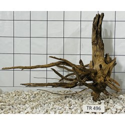 Spiderwood 496