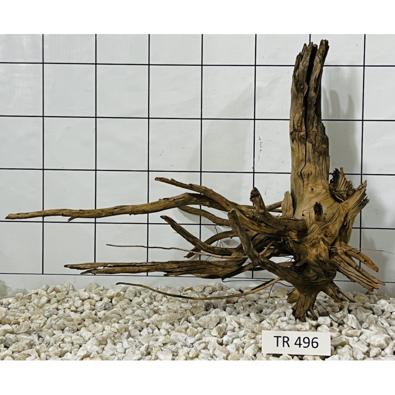 Spiderwood 496