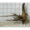 Spiderwood 496