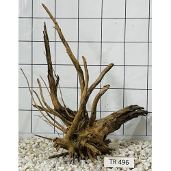 Spiderwood 496
