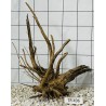Spiderwood 496