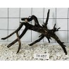 Spiderwood 497