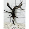 Spiderwood 497