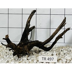 Spiderwood 497
