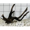 Spiderwood 497
