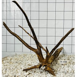 Spiderwood 498