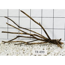 Spiderwood 499