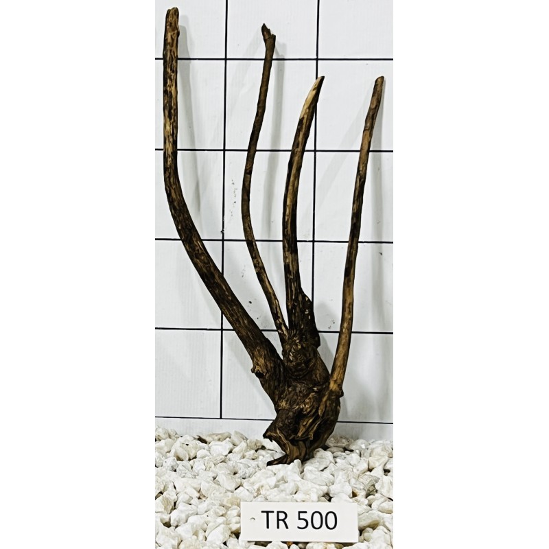 Spiderwood 500