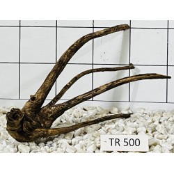 Spiderwood 500