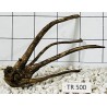 Spiderwood 500