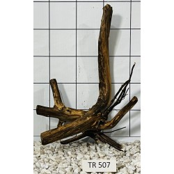 Spiderwood 507