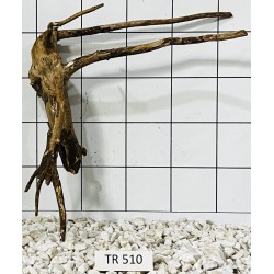 Spiderwood 510