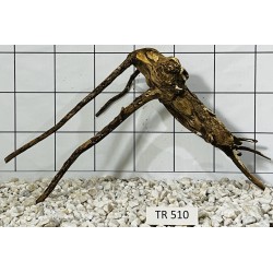 Spiderwood 510