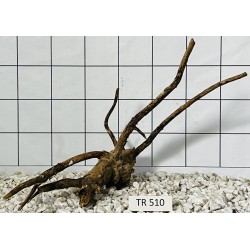Spiderwood 510