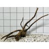 Spiderwood 510