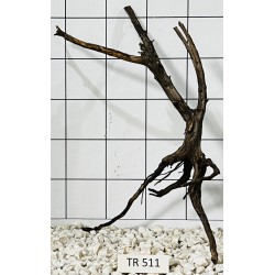 Spiderwood 511