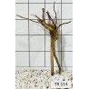 Spiderwood 514