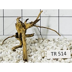 Spiderwood 514
