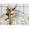 Spiderwood 514