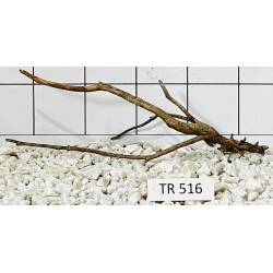 Spiderwood 516