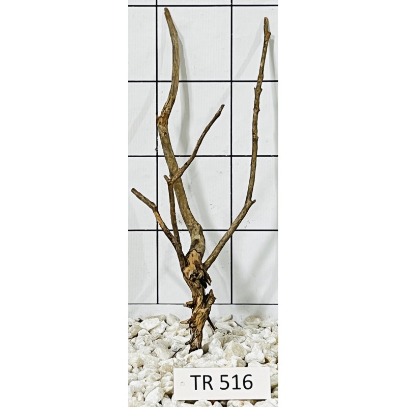 Spiderwood 516
