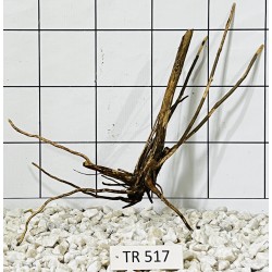 Spiderwood 517