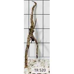 Spiderwood 520