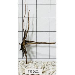 Spiderwood 521