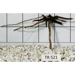 Spiderwood 521