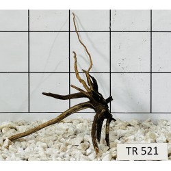 Spiderwood 521