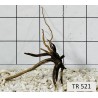 Spiderwood 521