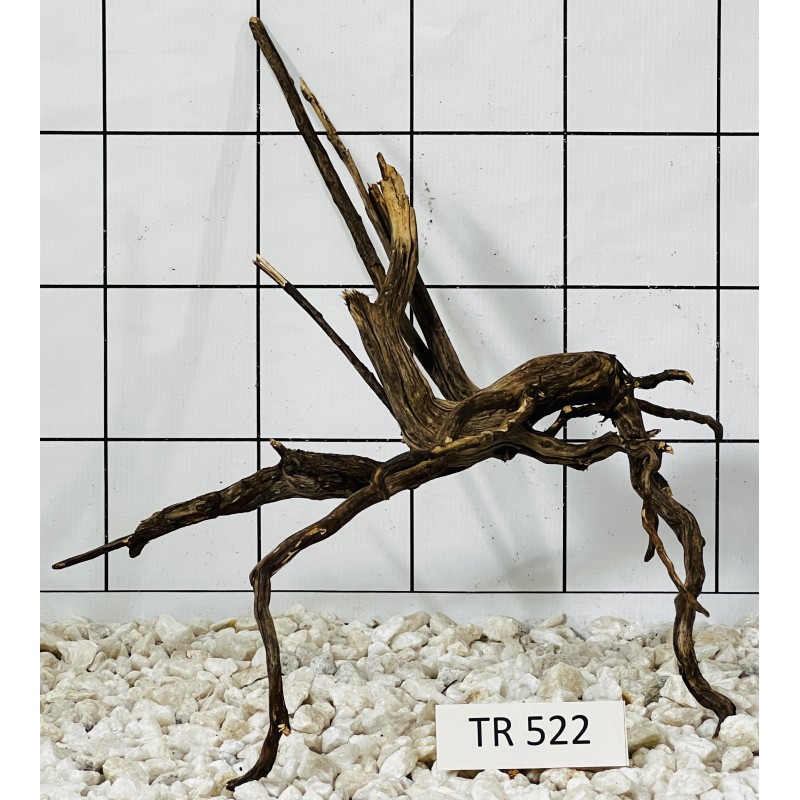 Spiderwood 522