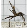 Spiderwood 522