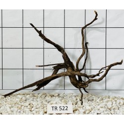 Spiderwood 522