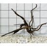 Spiderwood 522