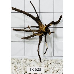 Spiderwood 523