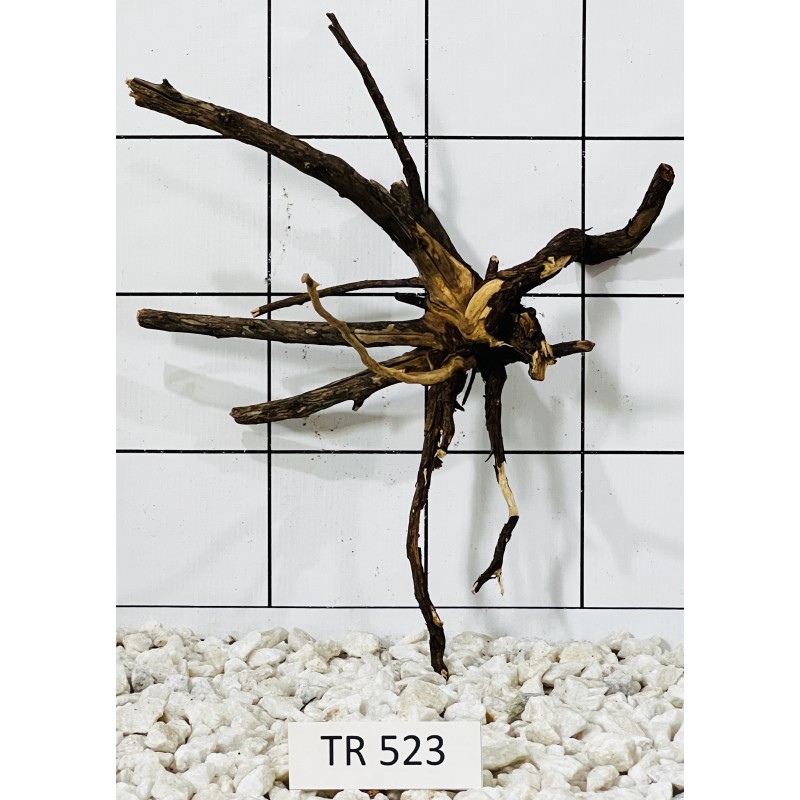 Spiderwood 523