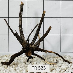 Spiderwood 523