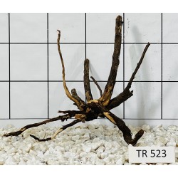 Spiderwood 523