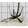 Spiderwood 523