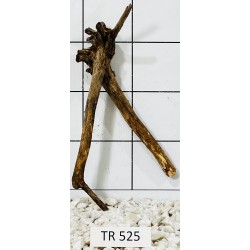 Spiderwood 525