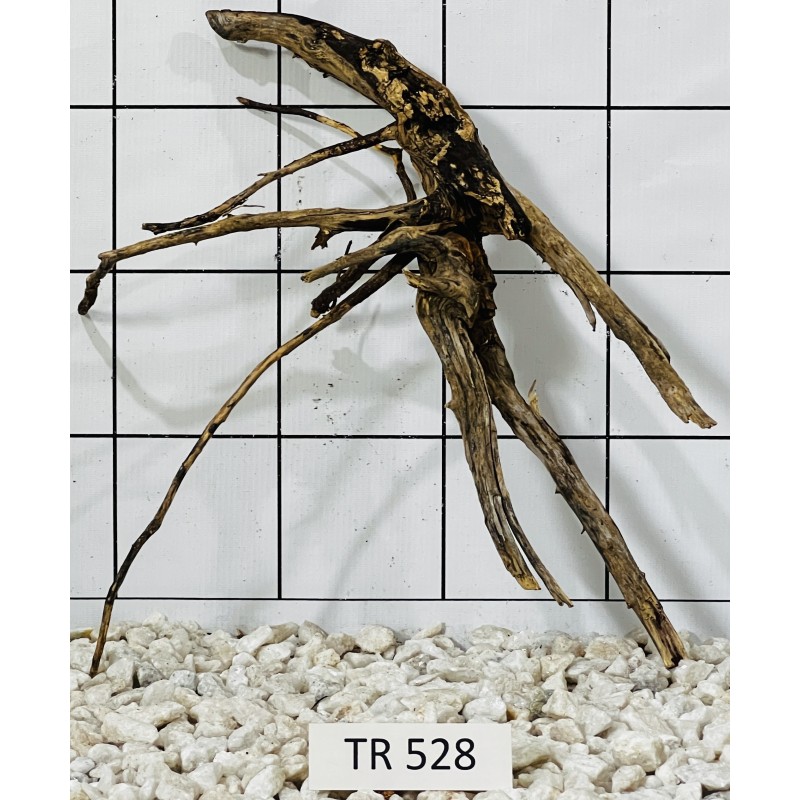 Spiderwood 528