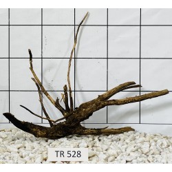 Spiderwood 528