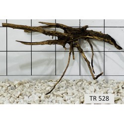 Spiderwood 528