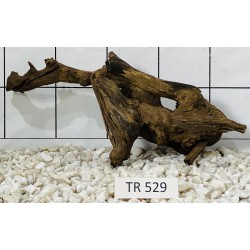 Spiderwood 529