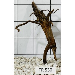Spiderwood 530