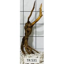 Spiderwood 531